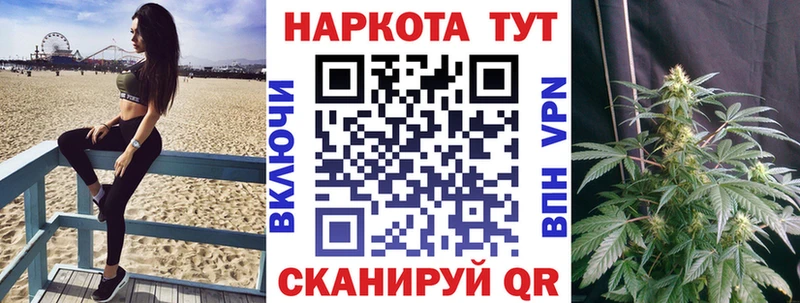 Наркотические вещества Шуя Псилоцибиновые грибы  Канабис  МЕФ  ГАШ 