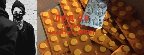 бошки Белокуриха