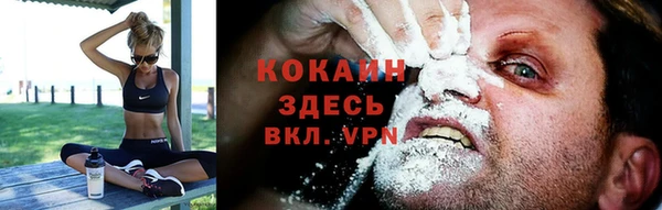 бошки Белокуриха
