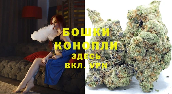 бошки Белокуриха