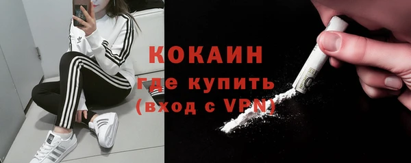 бошки Белокуриха